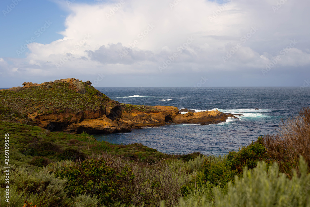Obraz premium Point Lobos