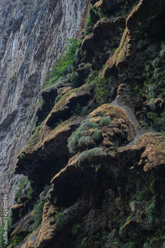 Árbol de navidad, Cañon del Sumidero, Chiapas