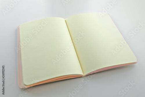 Opened notebook with blank pages