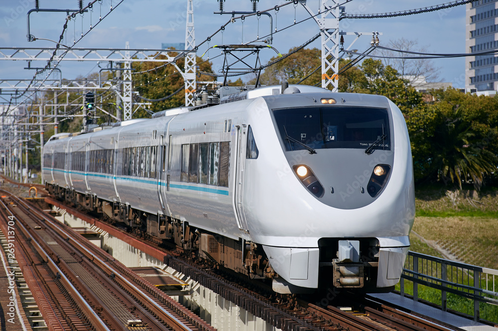 Fototapeta premium JR289系 くろしお