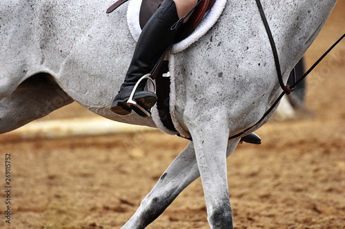 Horse and saddle