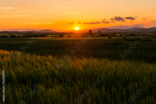 Atardecer colorido sobre campos de trigo © AnderArrieta