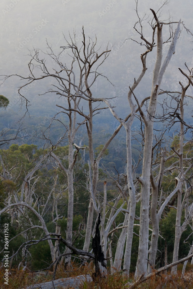 grampians grampians