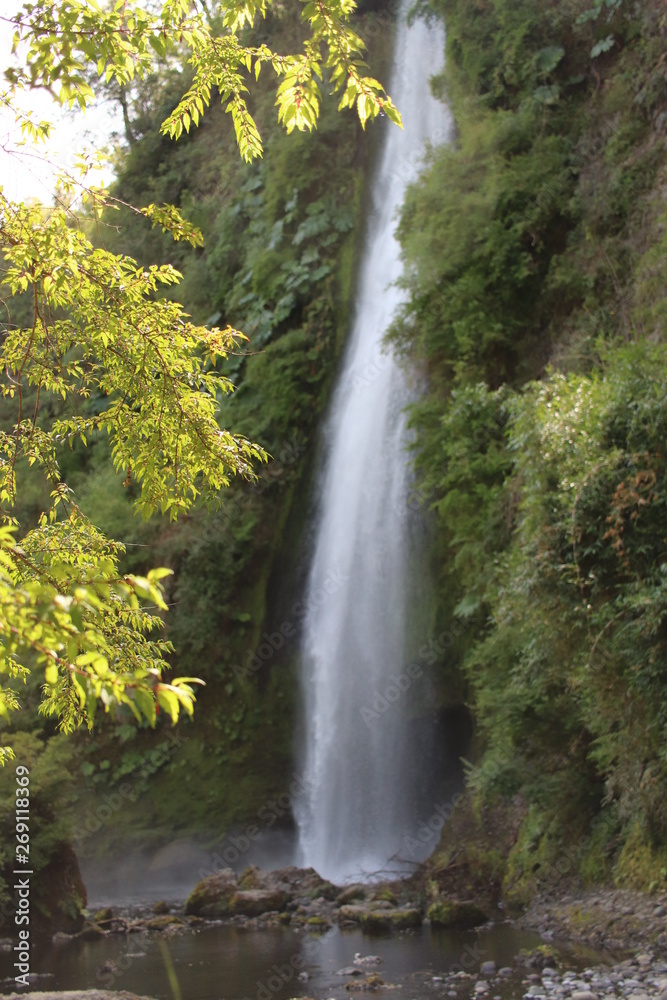 waterfall in forest waterfall in forest