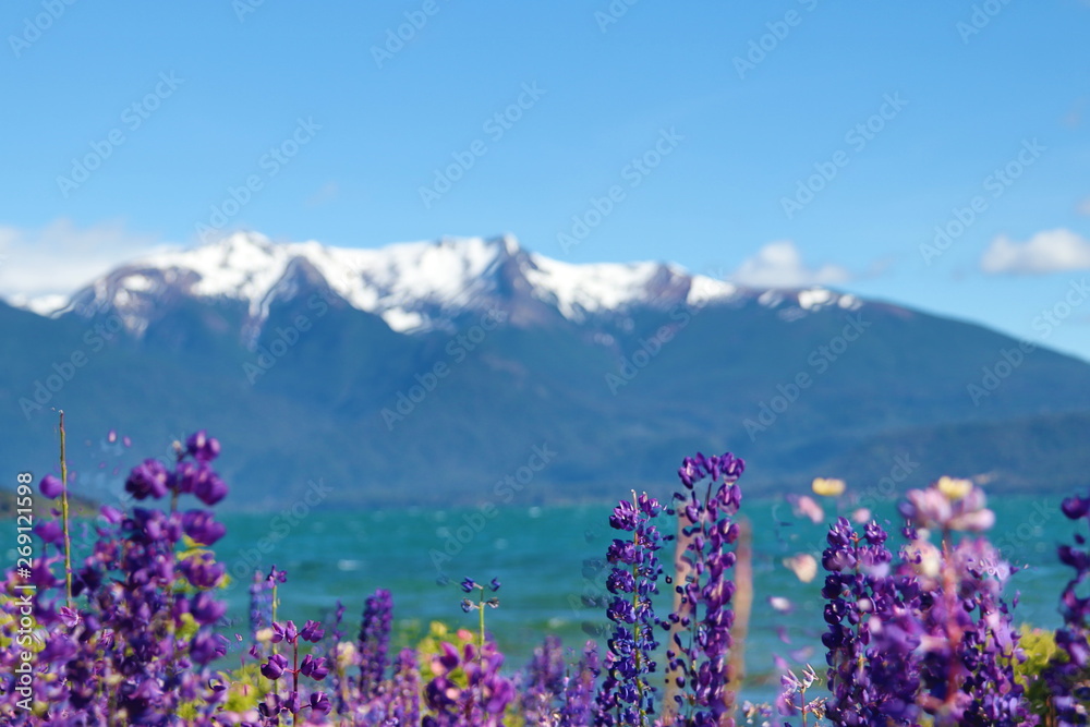 Fototapeta premium Patagonia landscape argentina