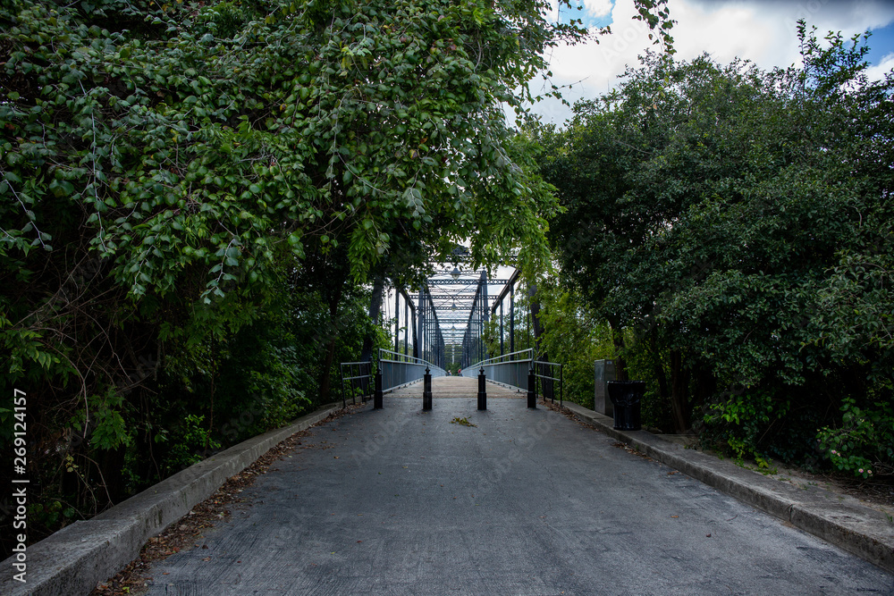 Bridge with Trees