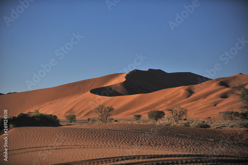 Texture of sand in the desert. Namibia. Sossusflay.