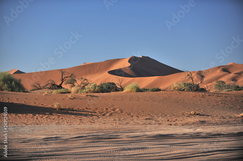 Namibia. Namib Desert The sand dunes of the red sand are the visiting card of Namibia.