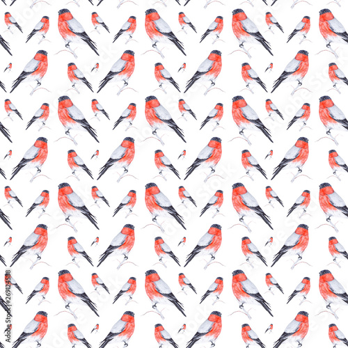 Watercolor illustration of a bullfinch bird sitting on a twig isolated on white background.Seamless pattern