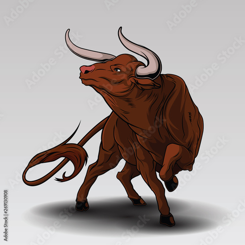 angry bull, attacking pose, image isolated on white background.