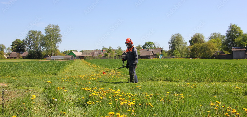 Farmer mows green grass with mower trimmer on the road in a field on the background of village houses and blue sky on a Sunny summer day - rural landscape