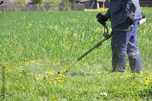 Man mowing the lawn with mower trimmer in a field on background of village houses on a Sunny summer day - garden tools