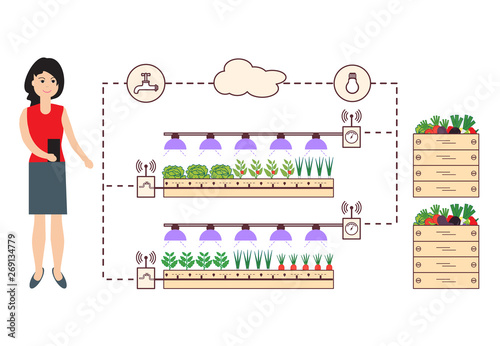 Woman controls the smart farm and agriculture.