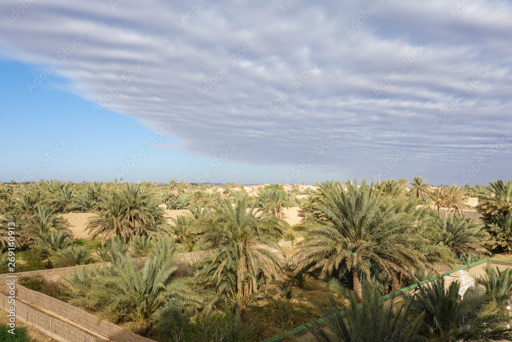 View on a palm tree park in Rissani, Morocco View on a palm tree park in Rissani, Morocco