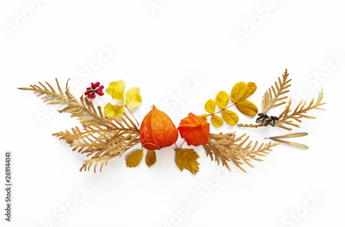 Autumn frame of fallen leaves