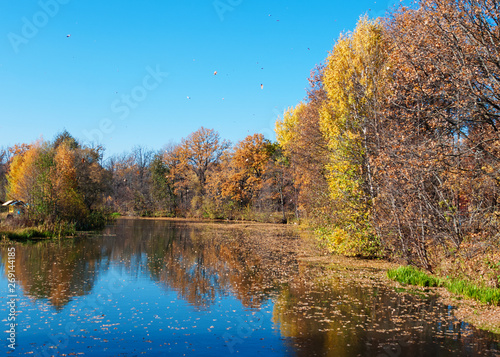 Beautiful autumn landscape with pond