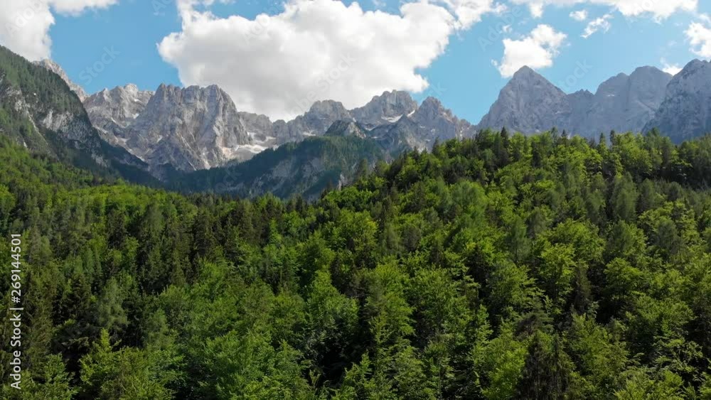 Triglav National Park, Slovenia. Flying away from green pine forest during a bright sunny day. Julian Alps and blue cloudy sky are seen in the background. Aerial, UHD Triglav National Park, Slovenia. Flying away from green pine forest during a bright sunny day. Julian Alps and blue cloudy sky are seen in the background. Aerial, UHD