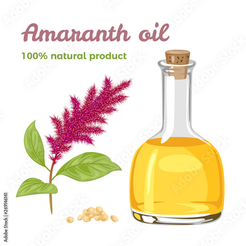 Amaranth oil in glass bottle. Branch of blossoming amaranth and heap of seeds isolated on white background. Vector illustration of healthy food in cartoon flat style.