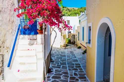 Scenic alley with beautiful pink bougainvillea flowers and yellow house walls. Colourful Greek street in Lefkes, Paros island