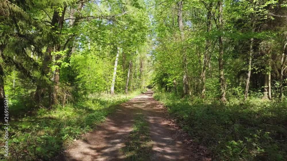 Forest road. Unpaved surface. Flying a drone trough the forest. Green trees, sunny day. Slow, cinematic shot. Backwards move. Spring 2019. Forest road. Unpaved surface. Flying a drone trough the forest. Green trees, sunny day. Slow, cinematic shot. Backwards move. Spring 2019.
