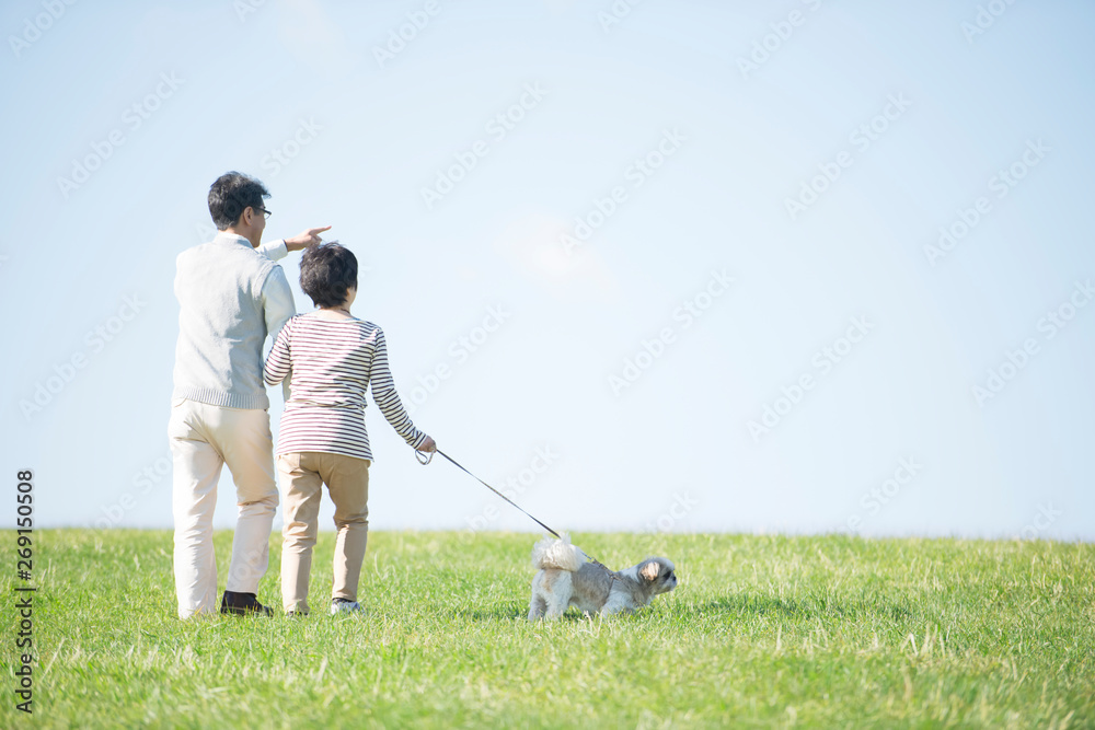 草原で犬の散歩をするシニア夫婦の後姿