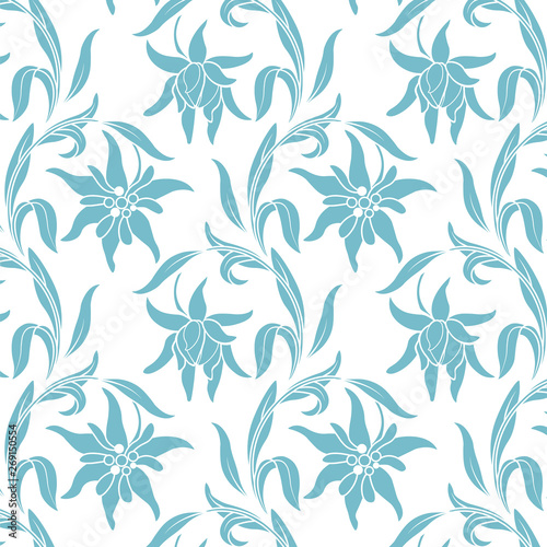 Edelweiss. Botanical pattern with edelweiss flowers