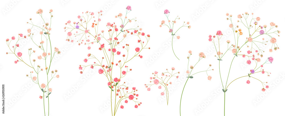 Twigs of gypsophile paniculata. Pink, white, red tiny flowers, buds, green leaves. Delicate ramules for bouquets. Panoramic view, botanical illustration in watercolor style, horizontal pattern, vector - obrazy, fototapety, plakaty 