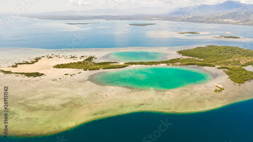 Fototapeta Naklejka Na Ścianę i Meble -  Tropical island with mangroves and turquoise lagoons on a coral reef, top view. Fraser Island, seascape Honda Bay, Philippines. Atolls with lagoons and white sand.