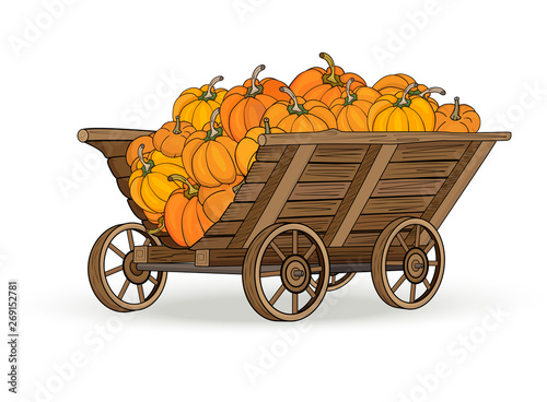 Wooden cart with the harvest of a large ripe pumpkin on a white background. Vector illustration
