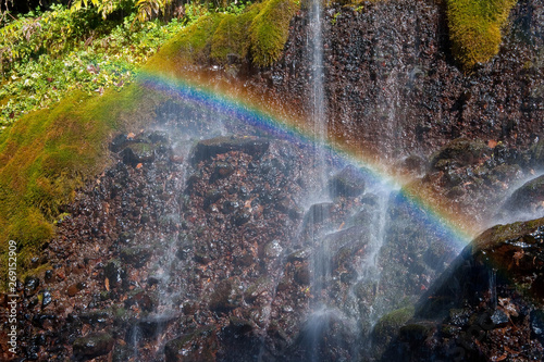 Fototapeta Naklejka Na Ścianę i Meble -  滝の水しぶきと鮮やかな虹