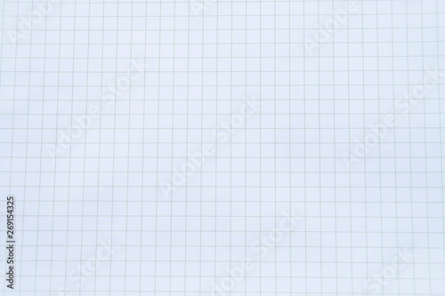 Graph paper for annotations. Graphic resource.