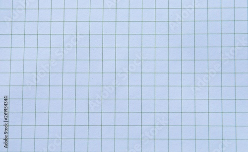 Graph paper for annotations. Graphic resource.