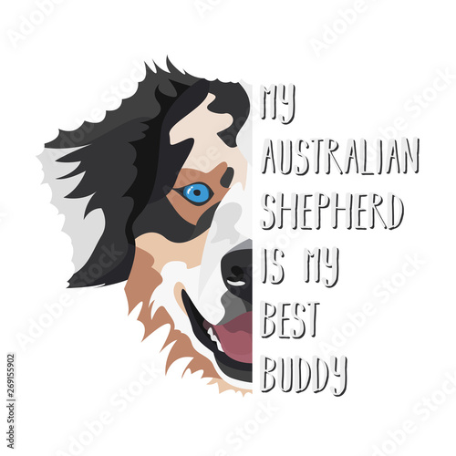Bester Freund Australian Shepherd