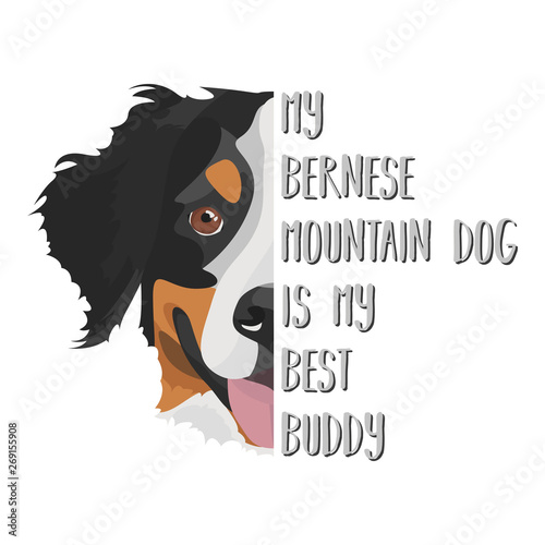 Bester Freund Berner Sennenhund