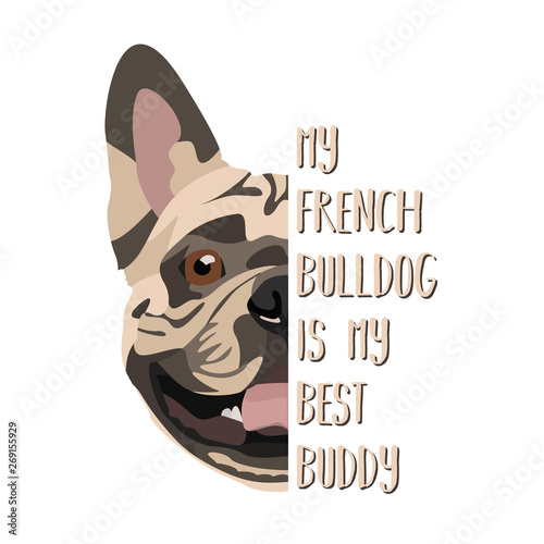 Bester Freund Französische Bulldogge