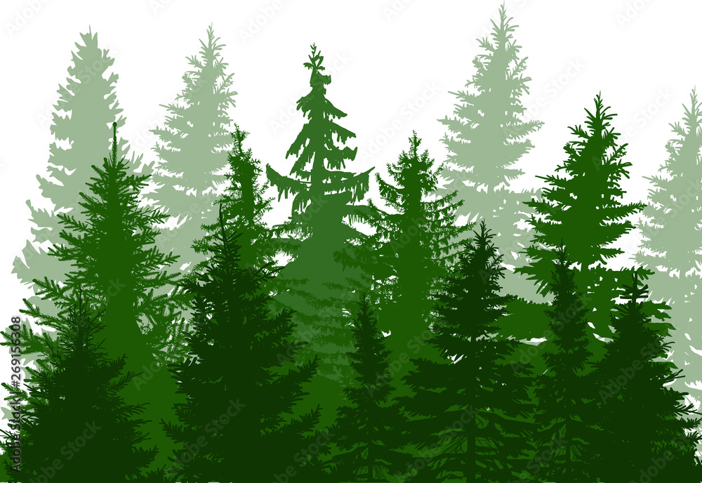 fir trees green forest isolated on white Stock Vector | Adobe Stock