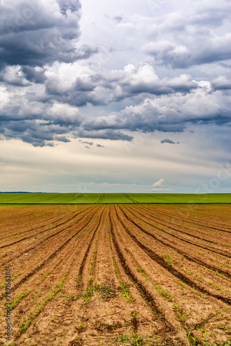 Plowed agricultural field and clouds in the sky
