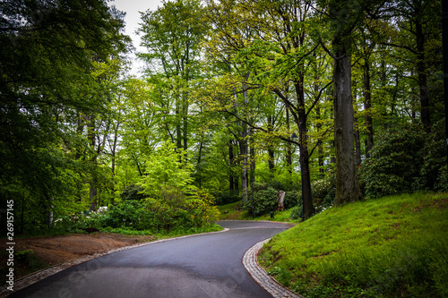 Footpath in a park in spring with trees and greenery