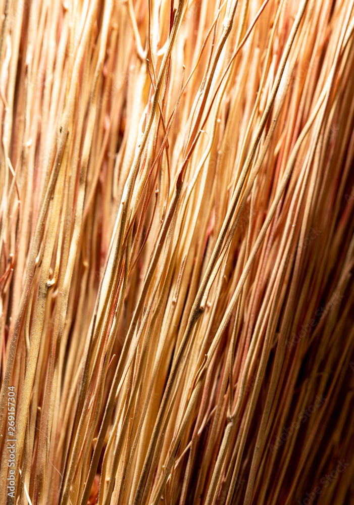 Broom as an abstract background Broom as an abstract background