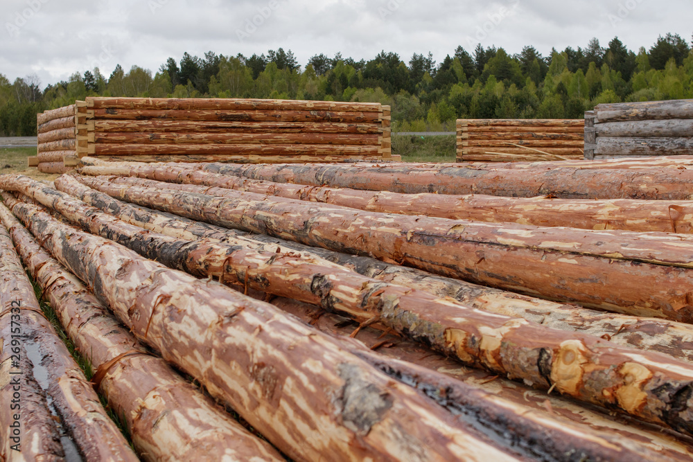 Log houses from pine logs in the meadow. Logs cleared of bark. Log houses from pine logs in the meadow. Logs cleared of bark.
