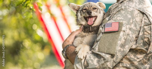 Soldier with military dog outdoors on a sunny day