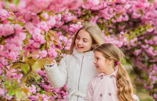 Children enjoy warm spring. Girls posing near sakura. Lost in blossom. Kids on pink flowers of sakura tree background. Kids enjoying cherry blossom sakura. Botany concept. Flowers soft pink clouds