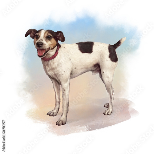 Realistic illustration of a standing smooth coat tri-colored terrier dog. Cute hunting dog on watercolor background. Animal art collection: Dogs. Hand Painted Illustration of Pet. Design template.