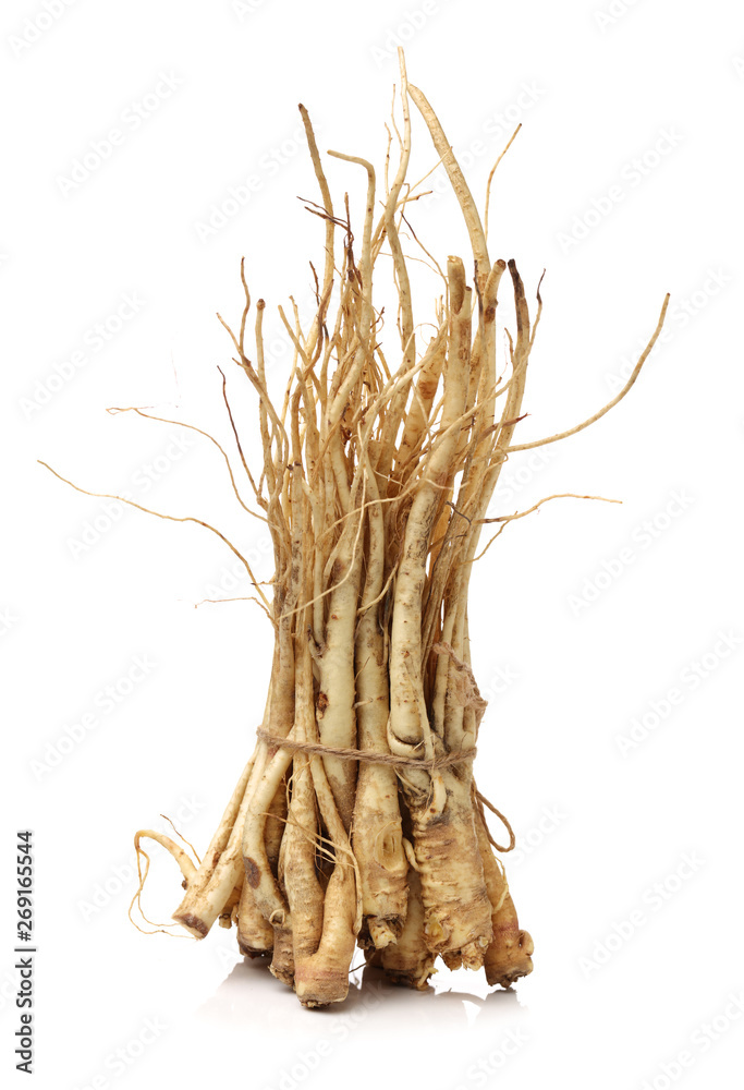 bellflower (Platycodon grandiflorus) isolated against a white background