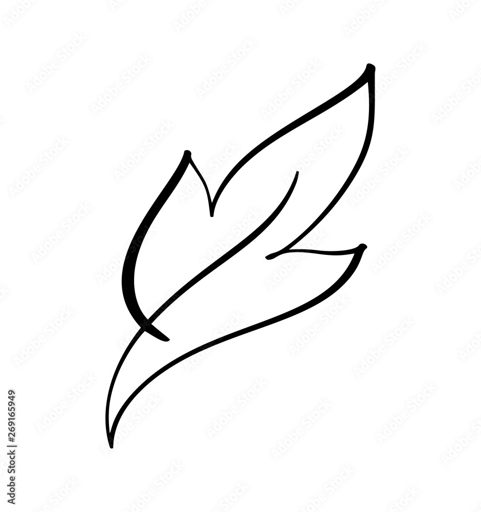 Vector stylized silhouette of spring tree leaf isolated on white background. Eco sign logo, nature label. Decorative element for medical, ecological brands Vector stylized silhouette of spring tree leaf isolated on white background. Eco sign logo, nature label. Decorative element for medical, ecological brands