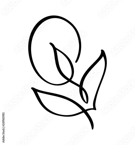 Vector stylized silhouette of spring flower with leaves isolated on white background. Eco sign, nature label. Decorative element for medical, ecological brands