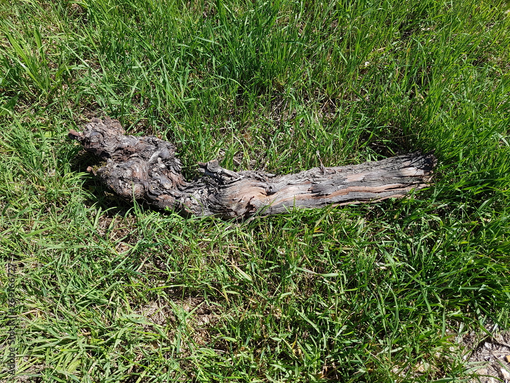 spring tour sunny day france