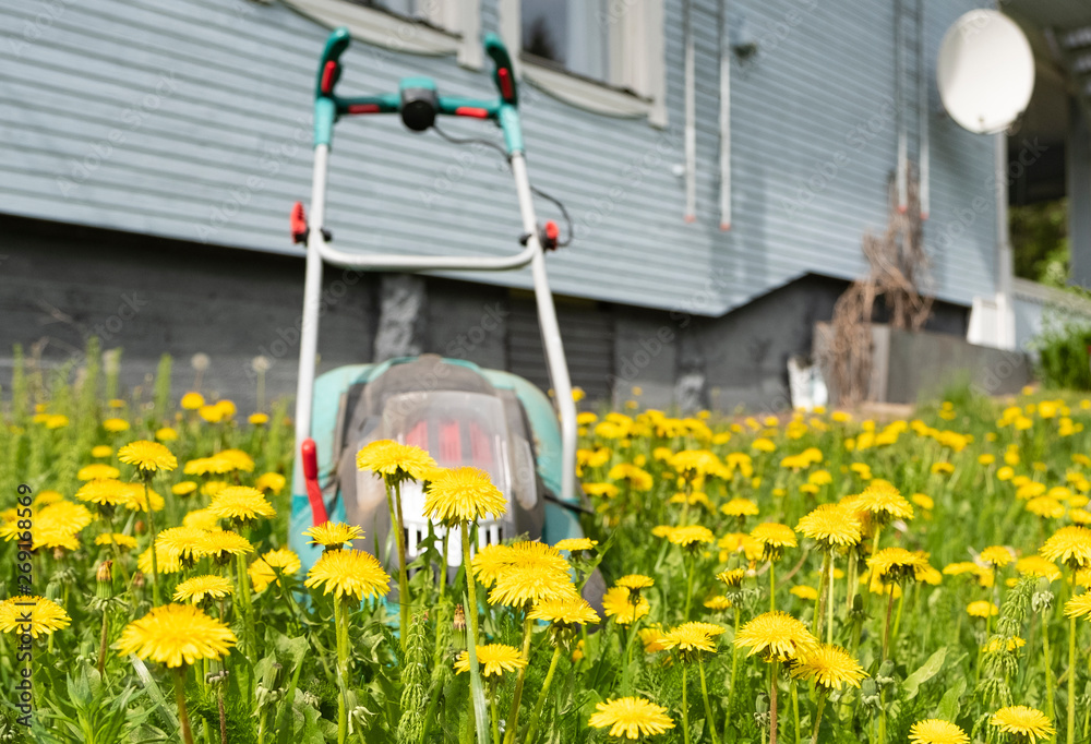 Green lawn mower stands in the center of yellow dandelions. Summer and summer mood. Green lawn mower stands in the center of yellow dandelions. Summer and summer mood.