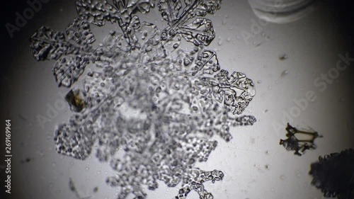 snowflake under a microscope shifting sharpness with blur