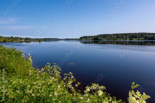 Beautiful landscape with river and white flowers on foreground © sokko_natalia
